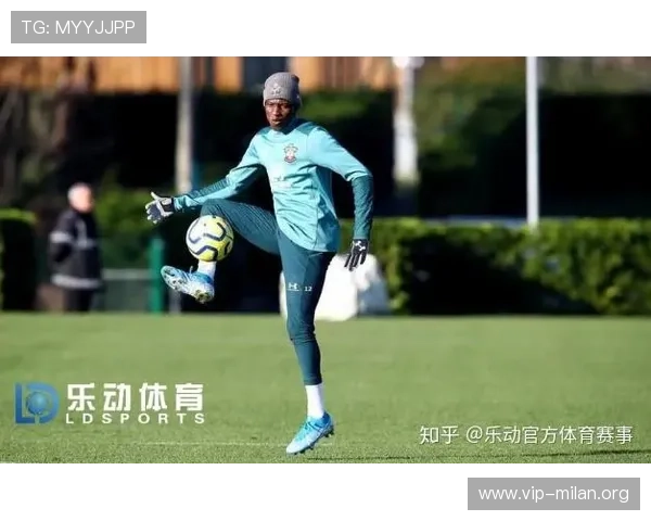 乐动体育app网页入口最新登录指南帮助用户快速进入官方平台体验体育赛事